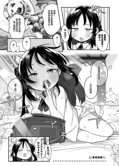 第33页图