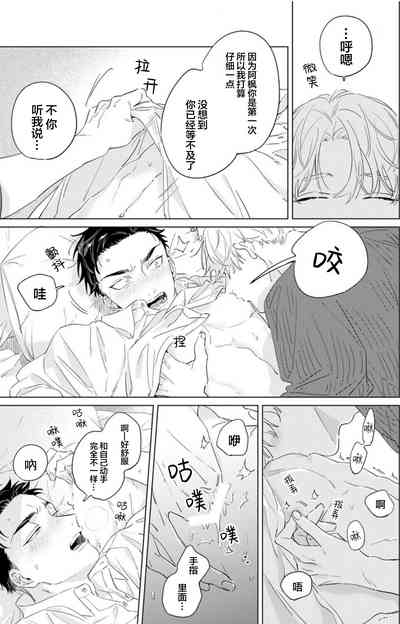第33页图