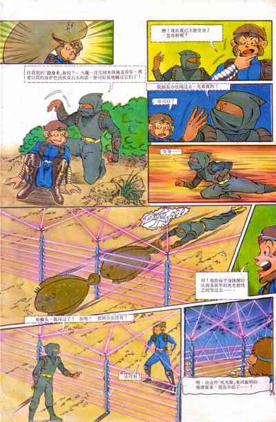 第29頁圖
