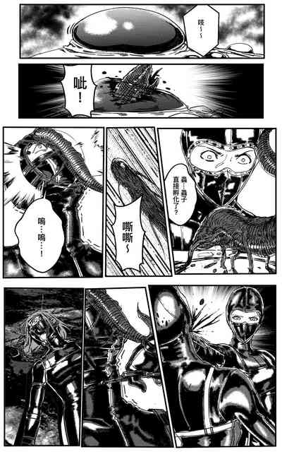 第441頁圖