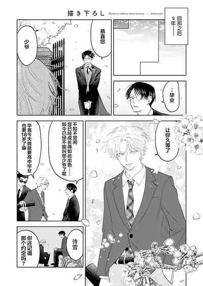第217页图