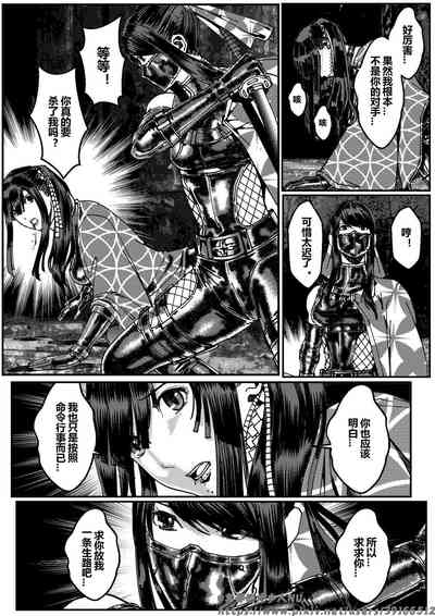 第213页图