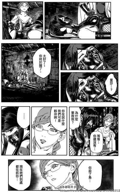 第233页图