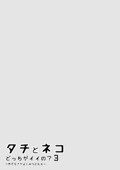 第53頁圖