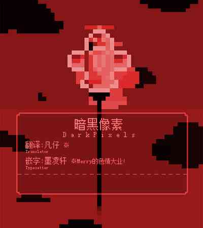 第13页图
