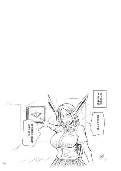 第33页图