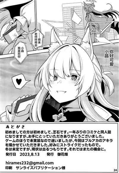 第25页图