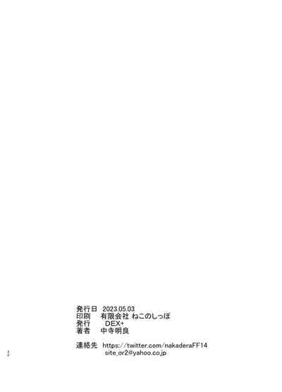 第33頁圖