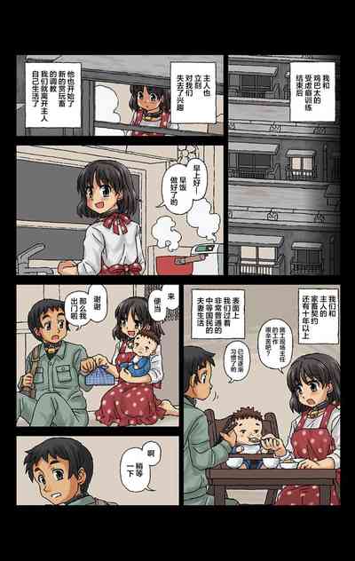 第17页图