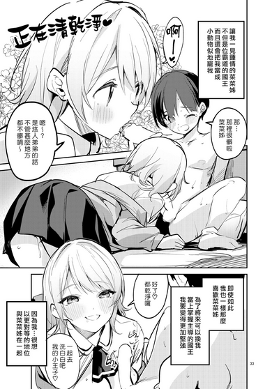 第33页图