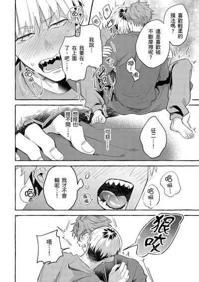 第33頁圖