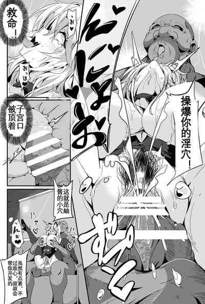 第17页图
