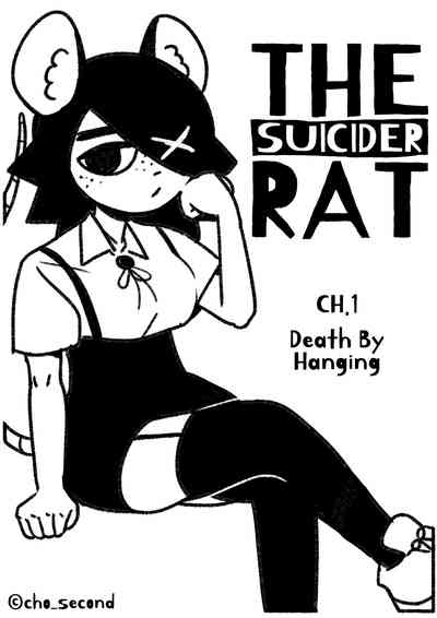 第1页图