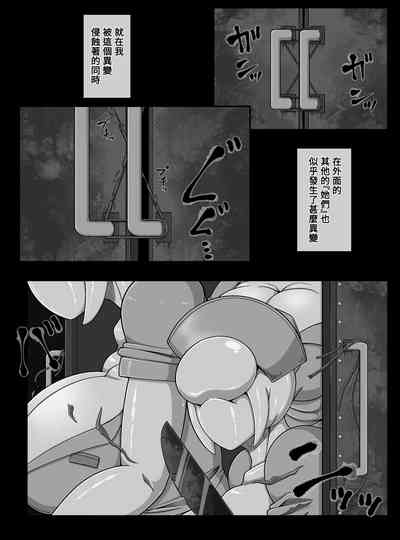 第17页图