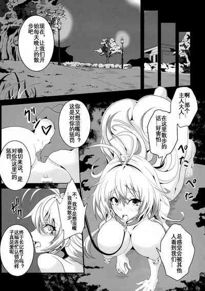 第17页图
