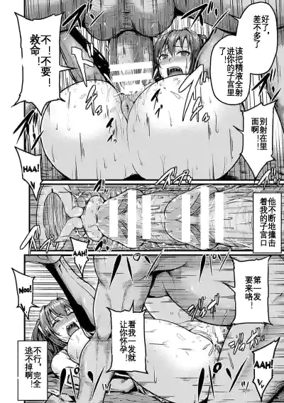 第17页图