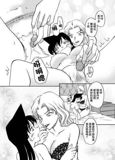 第13页图