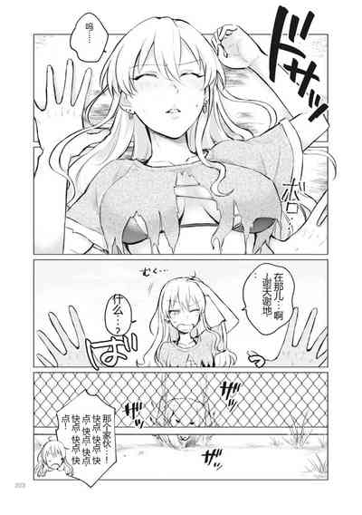 第205页图