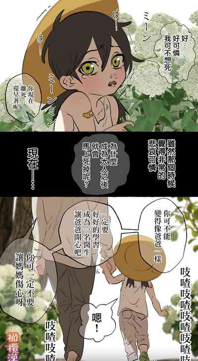 第13頁圖
