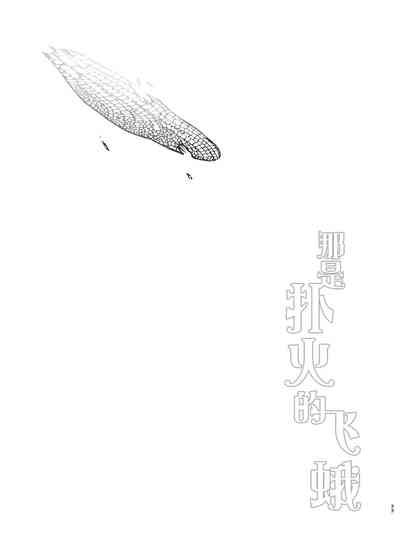 第29頁圖