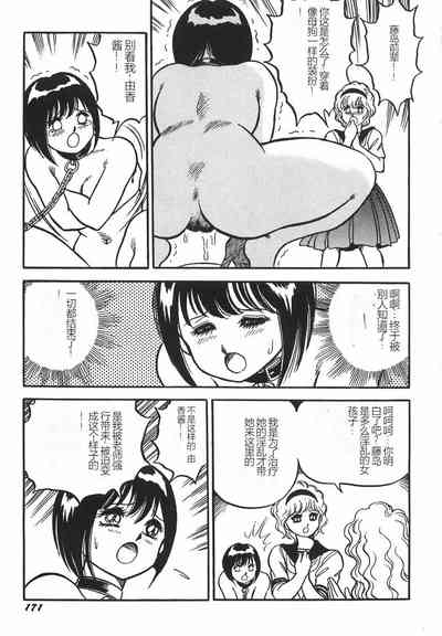 第177頁圖
