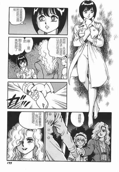 第205頁圖