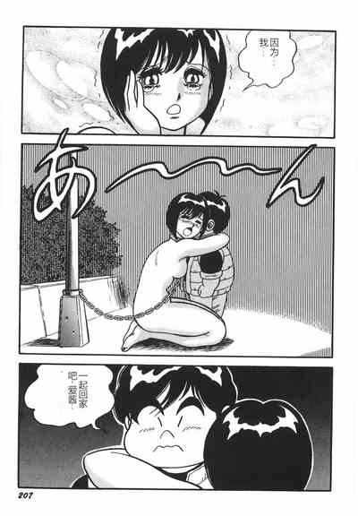 第213頁圖