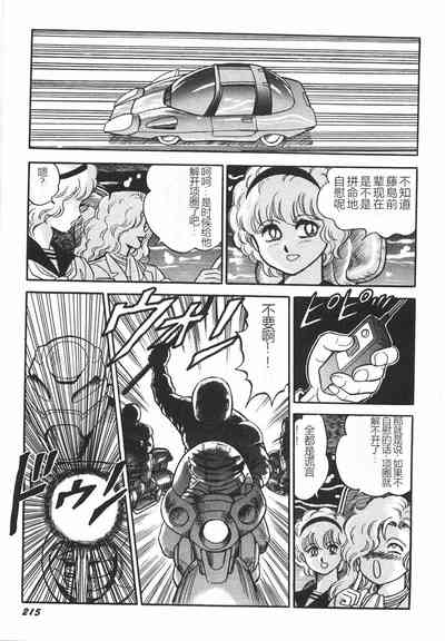 第221頁圖