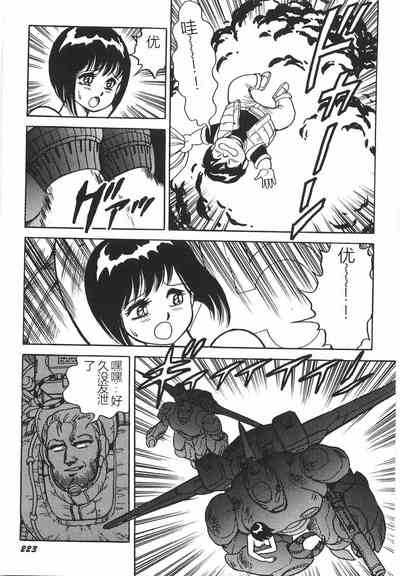 第229頁圖