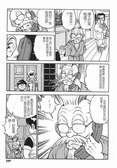 第245頁圖