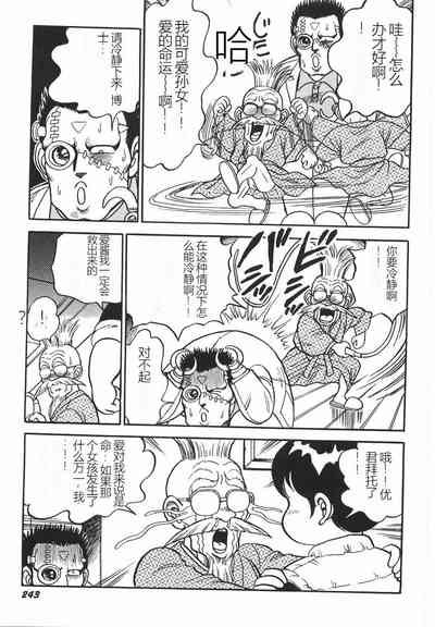 第249頁圖