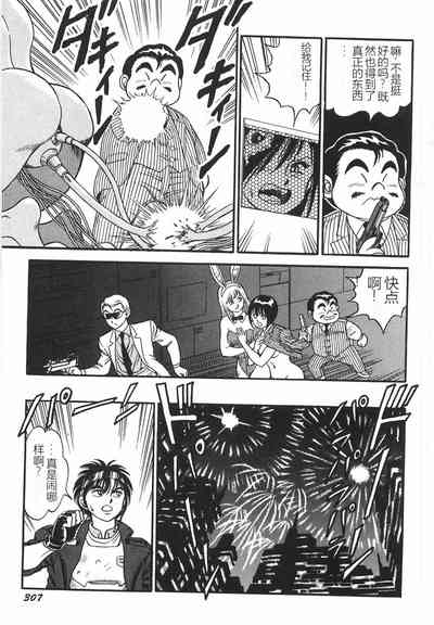 第313頁圖
