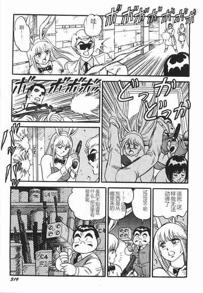 第325頁圖