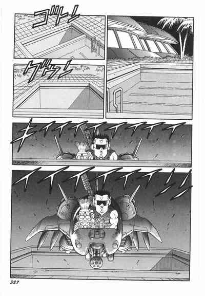 第333頁圖
