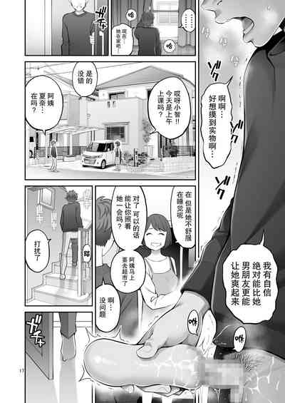 第17页图