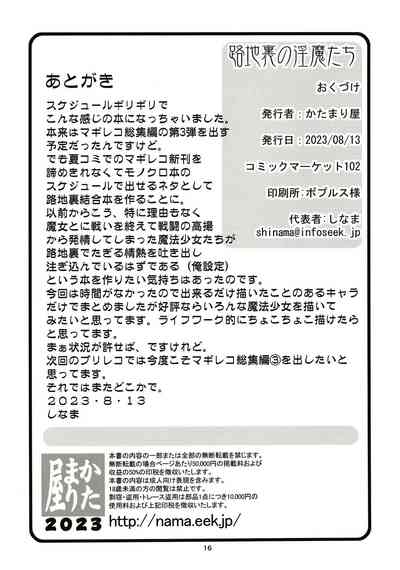 第17页图
