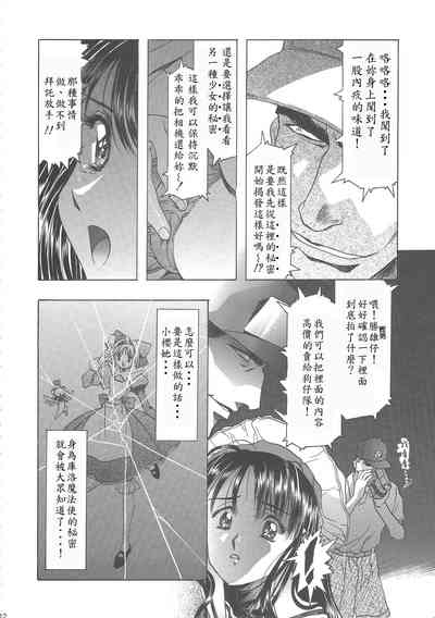 第17页图