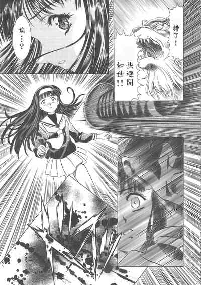 第213页图