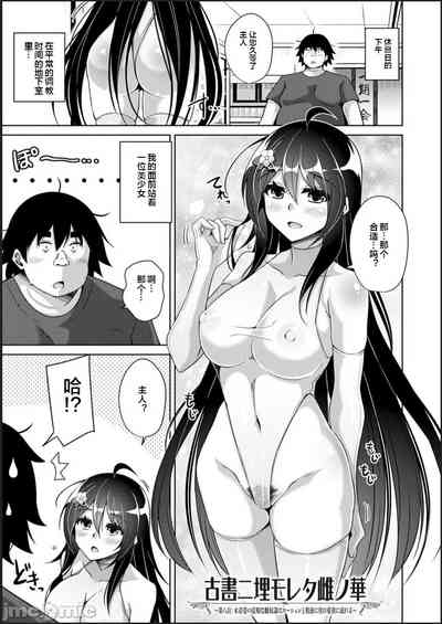 第133頁圖