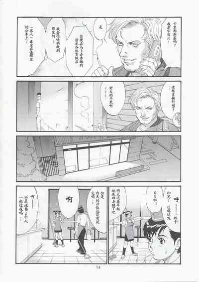 第13页图