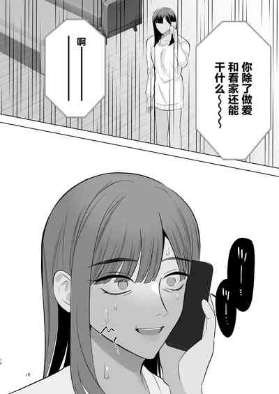 第17页图