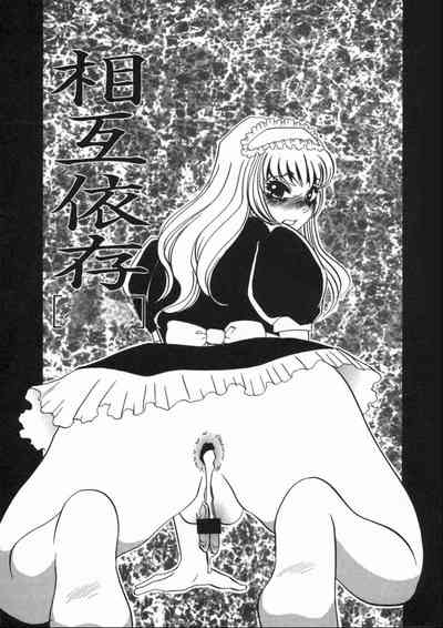 第29頁圖