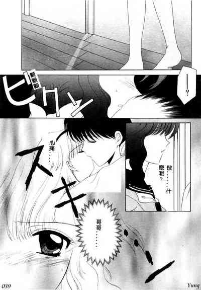 第41頁圖