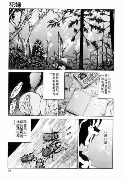 第73页图