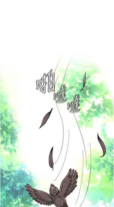 第149頁圖