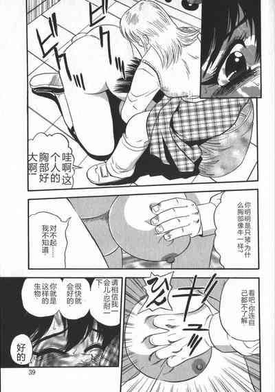 第41頁圖