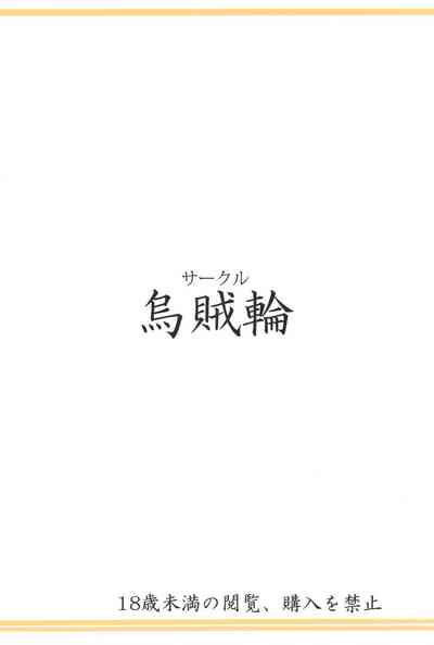 第17页图