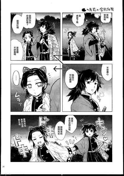 第33页图