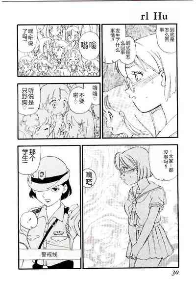 第29頁圖