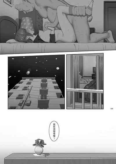第133頁圖